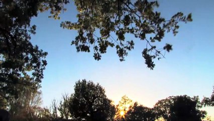 La academia de las musas Tráiler (2)