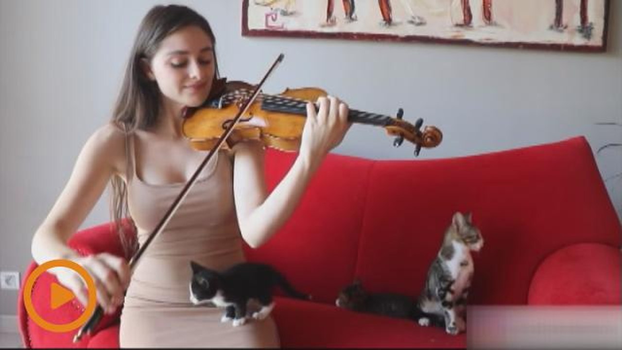 Kisah si cantik dan kucing