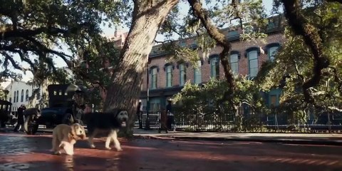 Tráiler de 'La Dama y el Vagabundo'