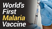 World's First Malaria Vaccine Begins Pilot Project