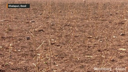 Harsh Reality In Beed, Maharashtra