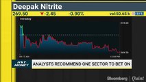 Analysts Recommend Their Top Sectoral Themes For FY20