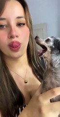Toothless Dog Bites Girl's Cheek
