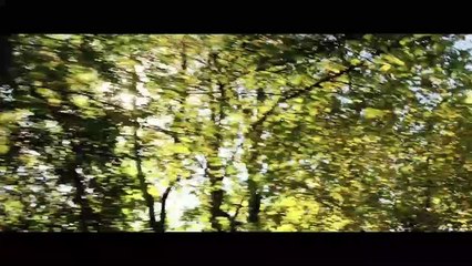 Tráiler Oficial 1 de "Los años más bellos de una vida"