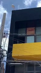 Suástica em janela de apartamento no Centro de Cajazeiras repercute e causa perplexidade