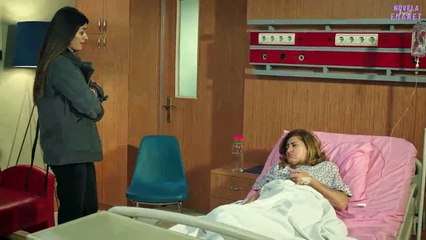 Você não pode provar nada – CENA EP 325