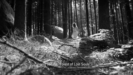 Tráiler A floresta das almas perdidas