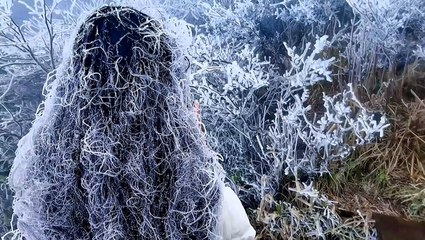 Can you spot the person? That's not all frozen trees