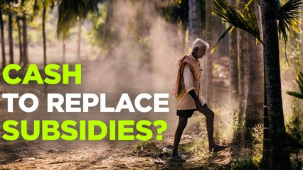 India Considering Paying Farmers Cash Instead of Subsidies