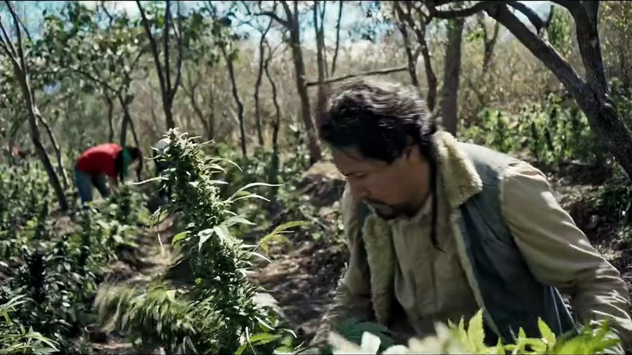 Tráiler de 'Sanctorum'