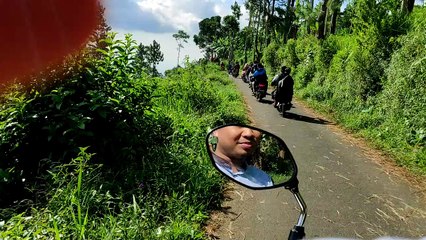 Keindahan Alam Hijau Pedesaan Asri