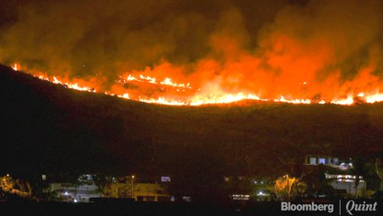 Aarey Colony Forest Fire: Environmentalists' View
