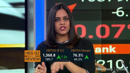 HEG Sees Muted Growth In Power Business