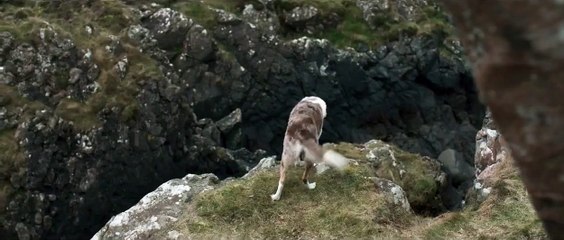 'El misterio del faro' - Tráiler oficial subtitulado