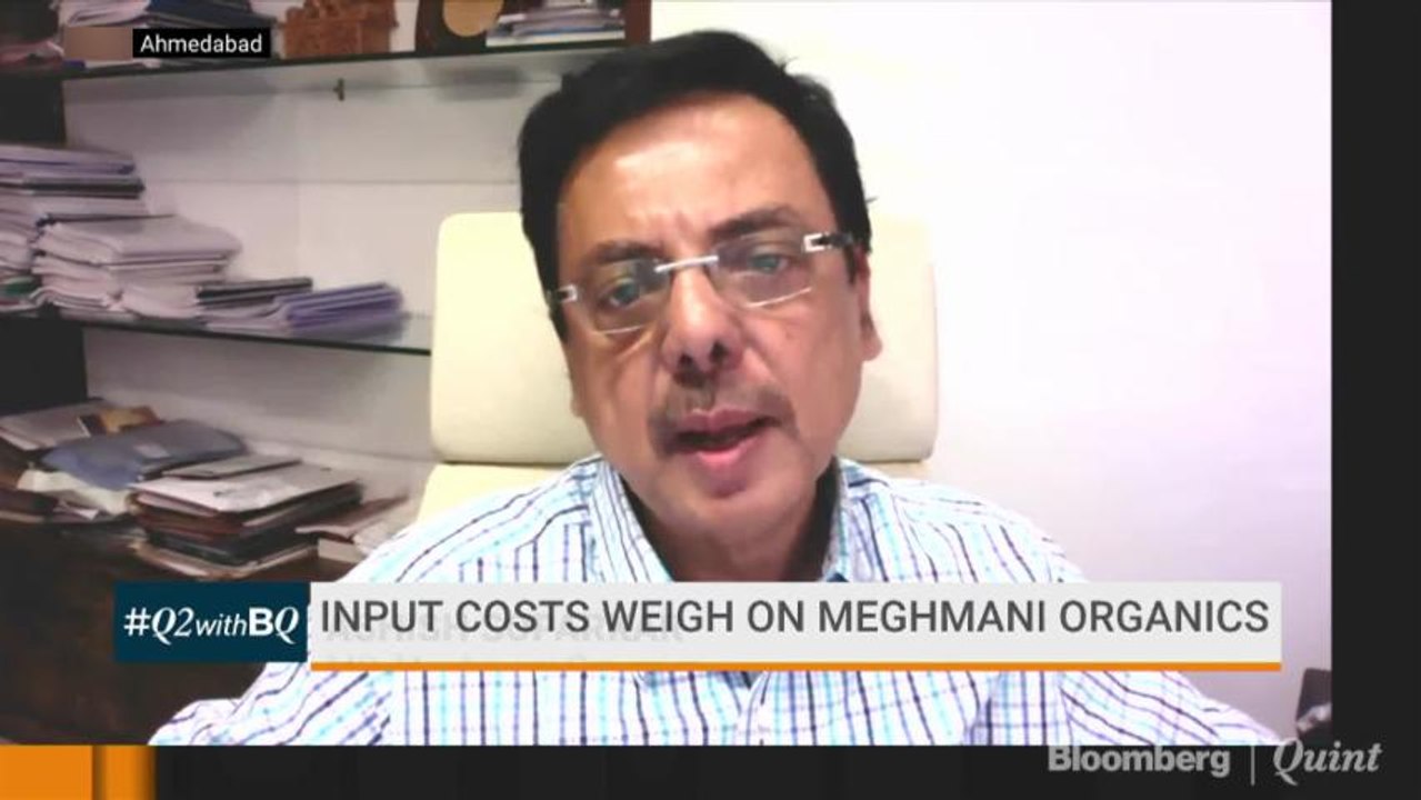 Expect Capacity Expansion To Be Complete By FY20: Meghmani Organics