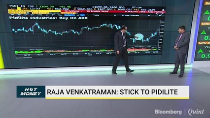 Raja Venkatraman Suggests Sticking With Pidilite