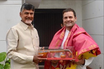 Chandrababu Naidu Meets Opposition Leaders In Delhi