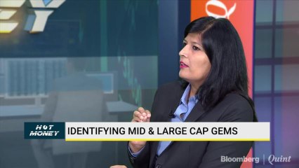 Analysts Identify Mid & Large Cap Gems For Your Investment