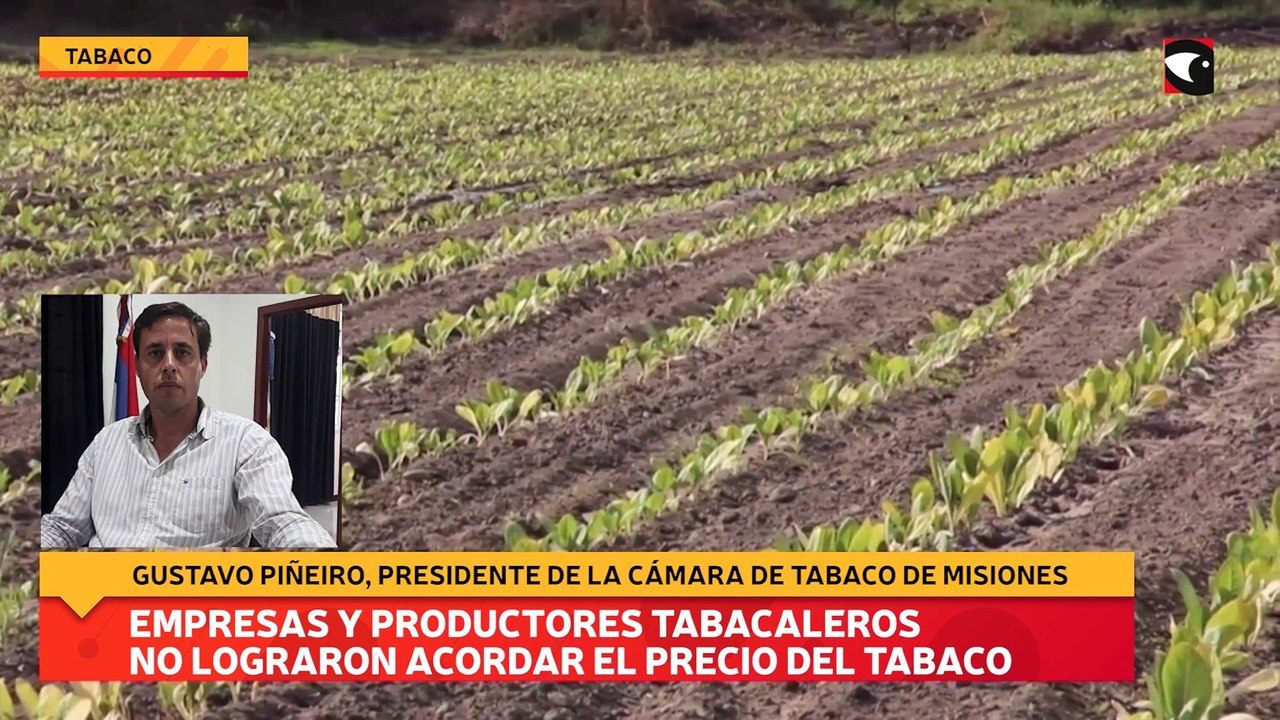 Empresas y productores tabacaleros no lograron acordar el precio del tabaco