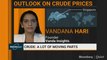 OPEC And Allies Will Try Ensuring Oil Does Not Cross $80/Bbl, Says Vandana Hari