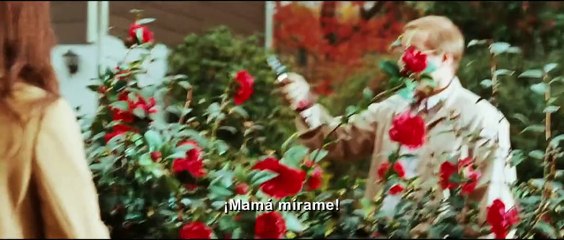 'Desde mi cielo'- Tráiler oficial subtitulado