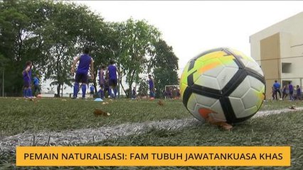 Pemain naturalisasi FAM tubuh jawatankuasa khas
