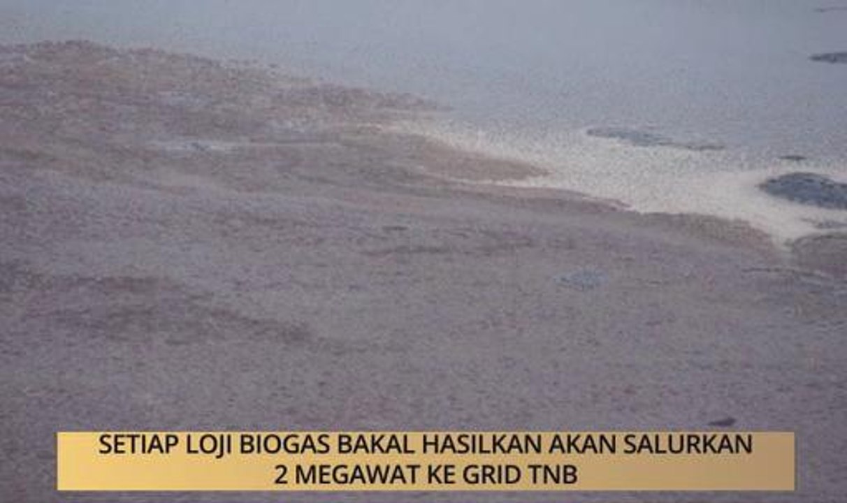 AWANI State [Terengganu]: Setiap loji biogas bakal hasilkan akan saluran 2 megawat ke grid TNB