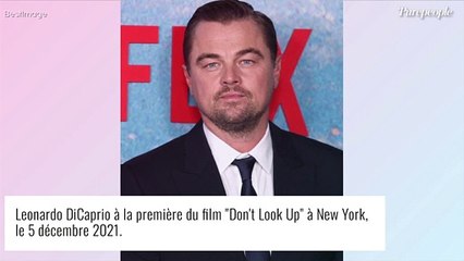 Leonardo DiCaprio se lance dans un nouveau business... en France !