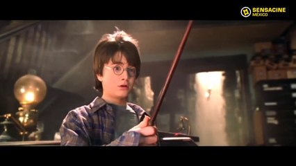 'Harry Potter y la Piedra Filosofal' - Así se ven los protagonistas en la actualidad