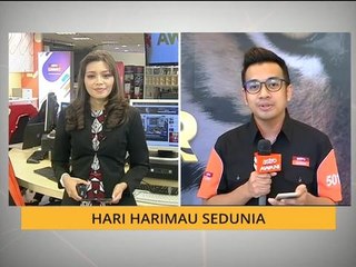 Hari Harimau Sedunia