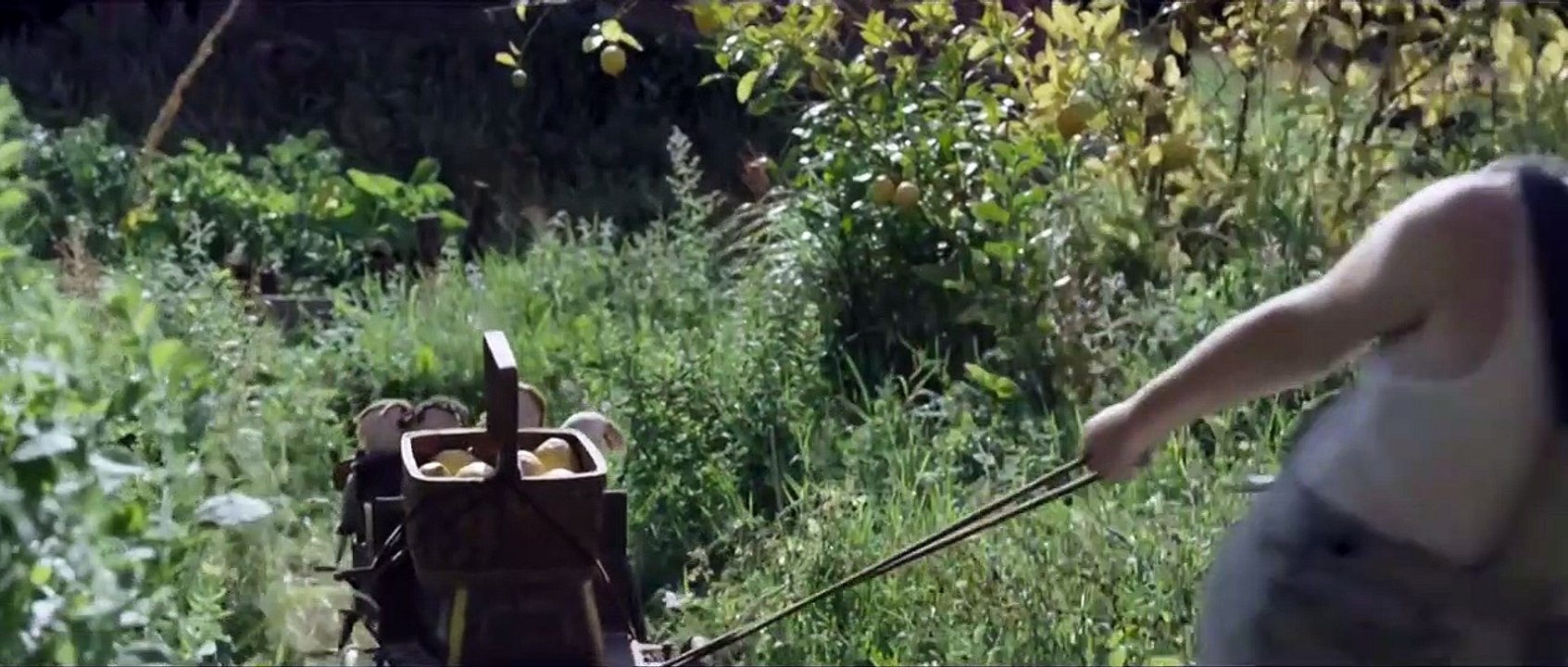 Secretos ocultos: Trailer subtitulado