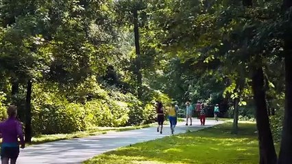 'En guerra con mi abuelo'- Tráiler oficial doblado