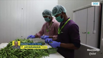 Finding Alternatives To Plastic