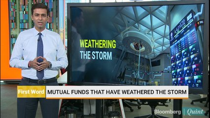 Mutual Funds That Weathered The Storm