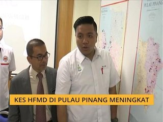 Kes HFMD di Pulau Pinang meningkat