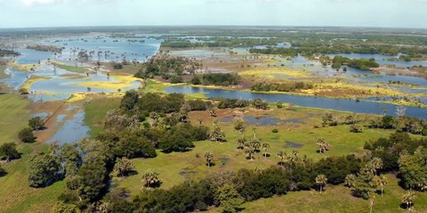 El tema - Tráiler oficial - Youtube