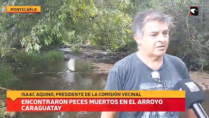 Encontraron peces muertos en el arroyo Caraguatay