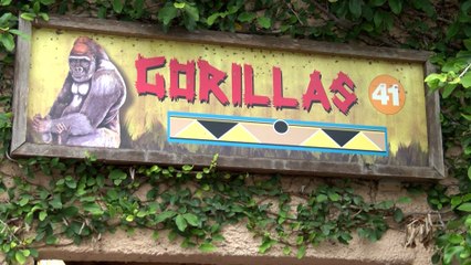 Reportaje desde el zoológico Gladys Porter