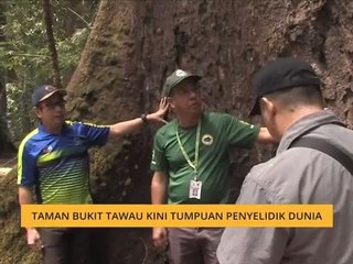 Bicara Borneo: Taman Bukit Tawau kini tumpuan penyelidik dunia