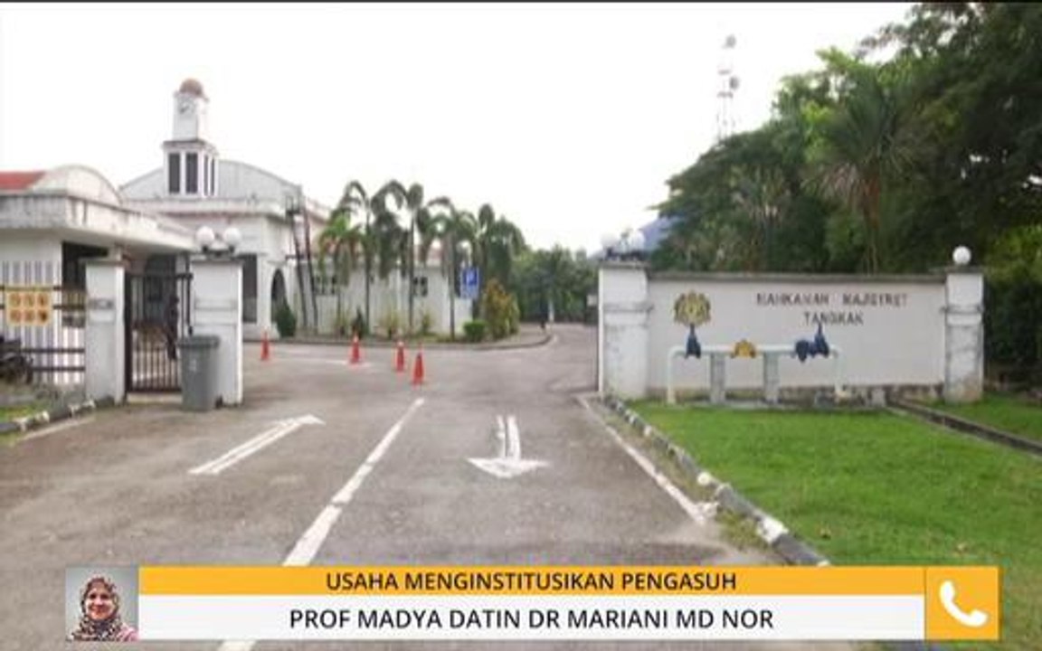 Usaha menginstitusikan pengasuh