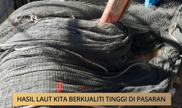 AWANI State [Terengganu]: Hasil laut kita berkualiti tinggi di pasaran