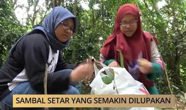 AWANI State [Terengganu]: Sambal setar yang semakin dilupakan