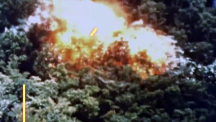 1971: el año en que la música cambió todo - Tráiler oficial - Apple TV+