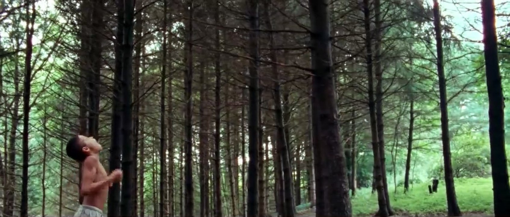 We the Animals: Trailer oficial