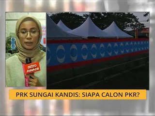 PRK Sungai Kandis: Siapa calon PKR?