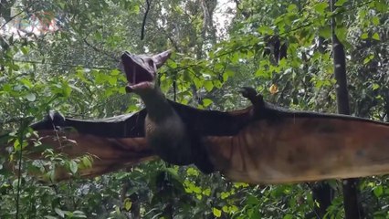 mqn-dino parq-250222