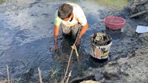 Thai farmer fishing at rice field in Thailand