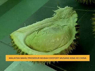 Malaysia mahu prosedur mudah eksport Musang King ke China