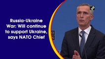 Russia-Ukraine Crisis: Will continue to support Ukraine, says NATO Chief