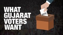 With The Election Just Around The Corner, Gujarat's Voters Voice Their Demands